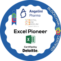 Mastering Excel - Excel Pioneer
